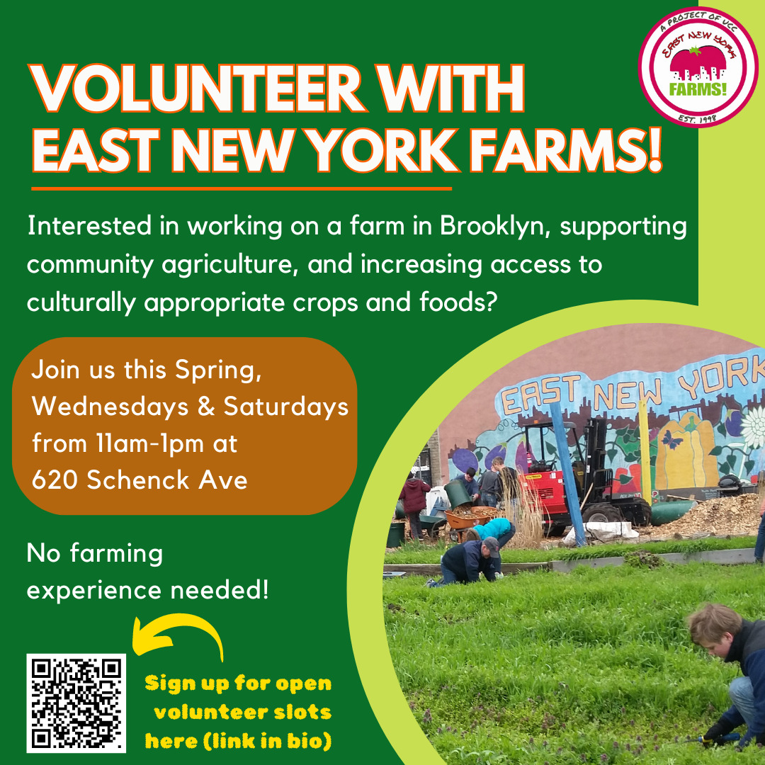 Volunteer with East New York Farms! (1)